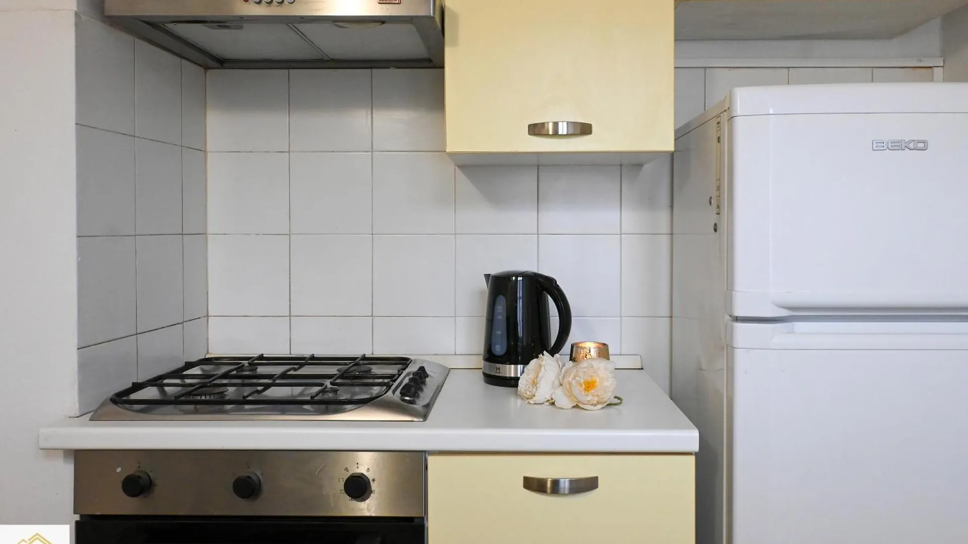 Apartment Inn Pisa Rentals - Rustic Style Flat
