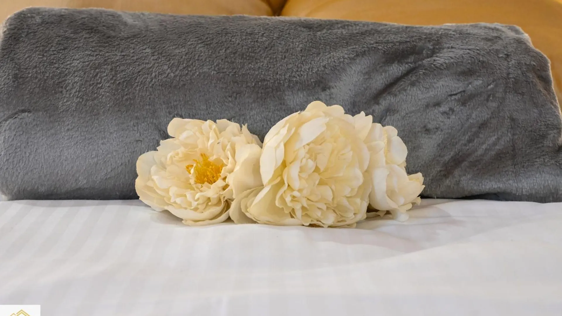 Inn Pisa Rentals - Rustic Style Flat 0*,